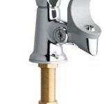 Chicago Faucets Bubbler Flex Head