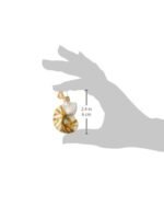 Mini Sea Shell Ornament Set - Image 2