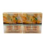 Bath & Body Works Citrus Wallflowers Refill