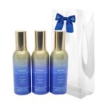 Bath & Body Works Ocean Room Spray Set