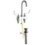 Gooseneck Lever Faucet