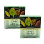 Wallflower Refill Boxes