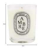 DIPTYQUE Ambre Scented Candle 70g - Image 6