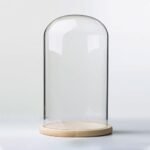 TIHONORI Glass Cloche Dome Display