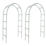 vidaXL Garden Arch Set (2-Pack)
