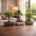 Avergo Bonsai Tree Starter Kit - Image 9