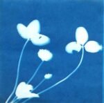 SunPrint Paper Kit - Image 4