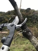 ARS LPB 30m Bypass Lopper - Image 3