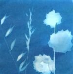 SunPrint Paper Kit - Image 7