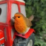 Vivid Arts Tractor Birdhouse XBC-BH77-D - Image 3