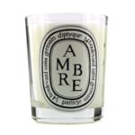DIPTYQUE Ambre Scented Candle 70g - Image 3