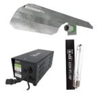 Lumii 600w Grow Light Kit