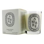 DIPTYQUE Ambre Scented Candle 70g - Image 2