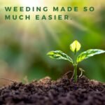 Lawn Jaws Sharktooth Weed Puller - Image 5