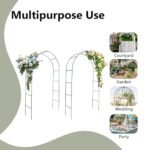 vidaXL Garden Arch Set (2-Pack) - Image 7