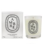 DIPTYQUE Ambre Scented Candle 70g - Image 4