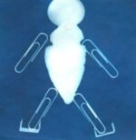 SunPrint Paper Kit - Image 6