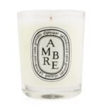 DIPTYQUE Ambre Scented Candle 70g