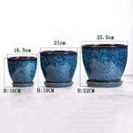 Large Indoor Ceramic Plant Pot - Image 4