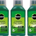 Miracle-Gro Fast Green Lawn Food