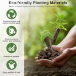 7-Pod Gourmet Herb Hydroponic Kit - Image 6