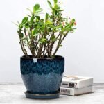 Large Indoor Ceramic Plant Pot - Image 2