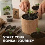 Avergo Bonsai Tree Starter Kit - Image 8
