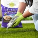 St. Gabriel Organics Milky Spore - Image 4