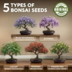 AVERGO Bonsai Tree Kit - Image 2