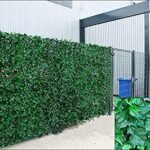IVY 3m x 1M Artificial Hedge SD20256