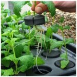 X-Stream Aeroponic Propagator 40 Site - Image 3