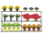 Taylor & Brown 6-Tier Greenhouse Staging - Image 2