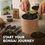 AVERGO Bonsai Tree Kit - Image 8