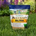 Jonathan Green Black Beauty Ultra Grass Seed - Image 5