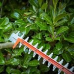 BLACK+DECKER 36V Sawblade Hedge Trimmer - Image 5