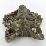 Prezents Wolf Woodland Wall Plaque - Image 6