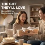 Avergo Bonsai Tree Starter Kit - Image 5
