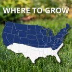 Jonathan Green Black Beauty Ultra Grass Seed - Image 6