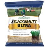 Jonathan Green Black Beauty Ultra Grass Seed
