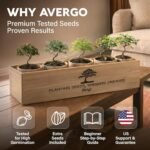 Avergo Bonsai Tree Starter Kit - Image 4
