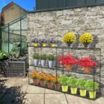 Taylor & Brown 6-Tier Greenhouse Staging - Image 3