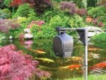 HOZELOCK 800ml Automatic Fish Feeder - Image 4