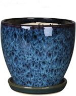 Large Indoor Ceramic Plant Pot