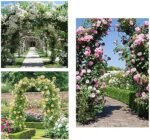 SEVSO Sturdy Metal Garden Arch - Image 2