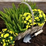 DeWit Tempered Boron Potting Trowel - Image 3